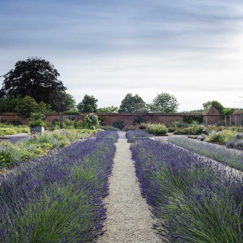 Walled Garden, Folly Farm. Copyright: Folly Farm (Jason Ingram)